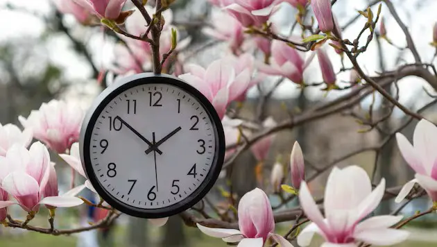 Перевод часов: все от этого устали, но отмены пока не будет